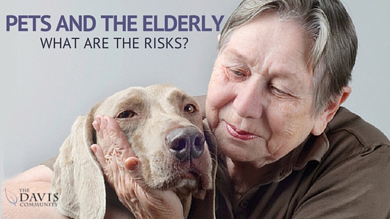 Pets and the Elderly - What are the risks?