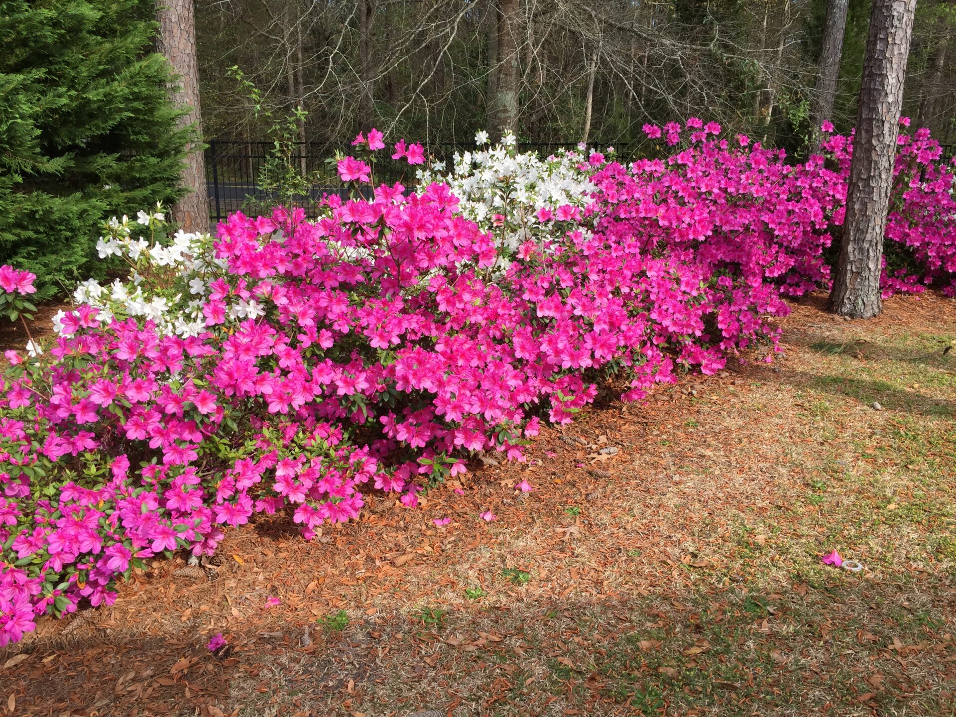 Independent Living Campus | Wilmington, NC | New Hanover County 