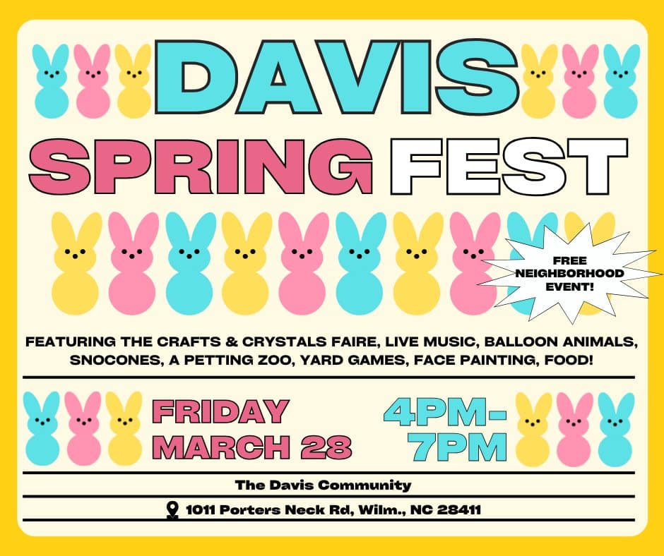 Davis Spring Fest!